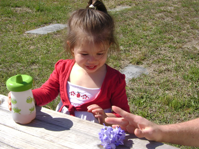 Family Reunion! Family Reunion!